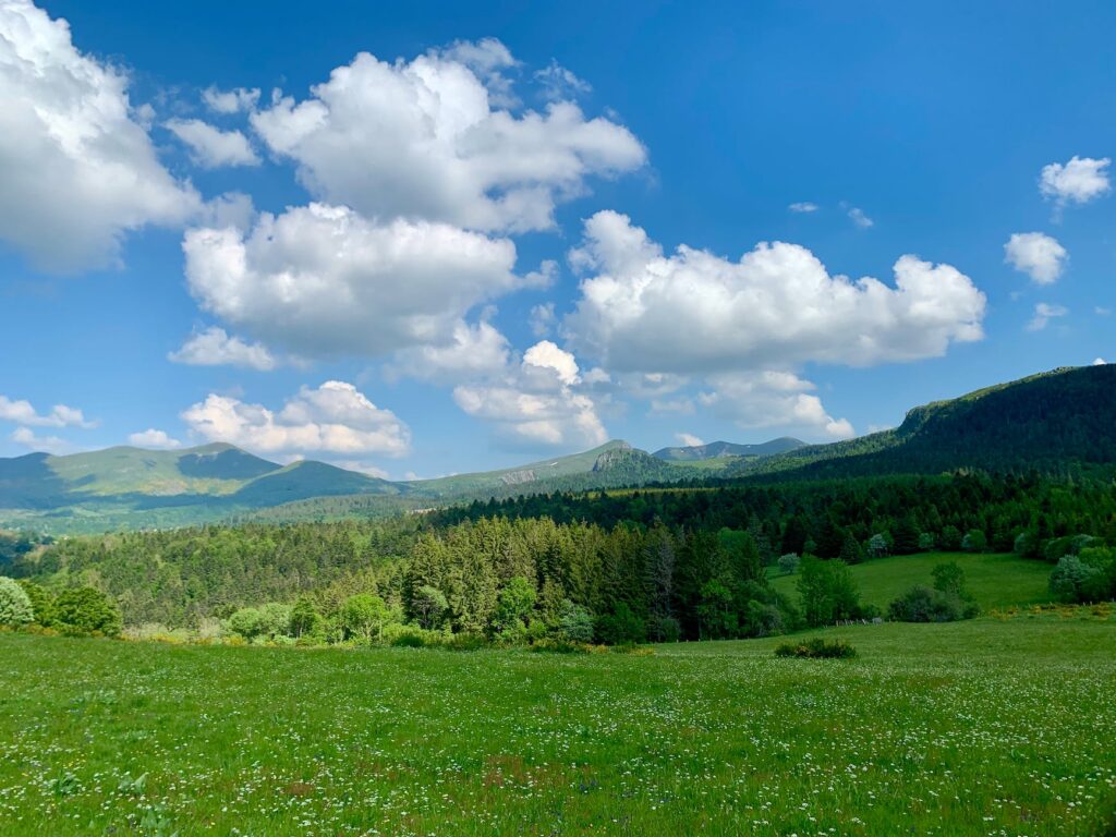 green grass field under blue sky